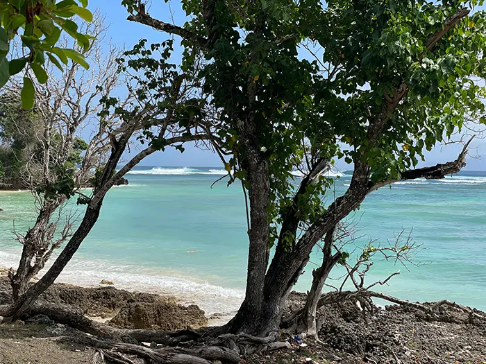 first time guide to g land trip from bali