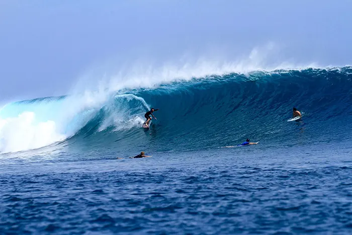 g land surf trip from bali