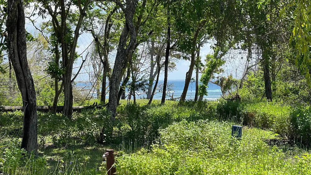 ocean view outside g land surf camp